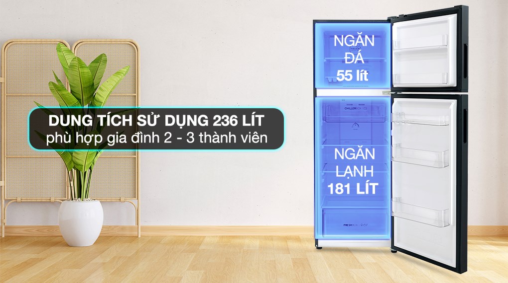 Tủ lạnh Aqua Inverter 236 lít AQR-T260FA(FB) - Ảnh 4