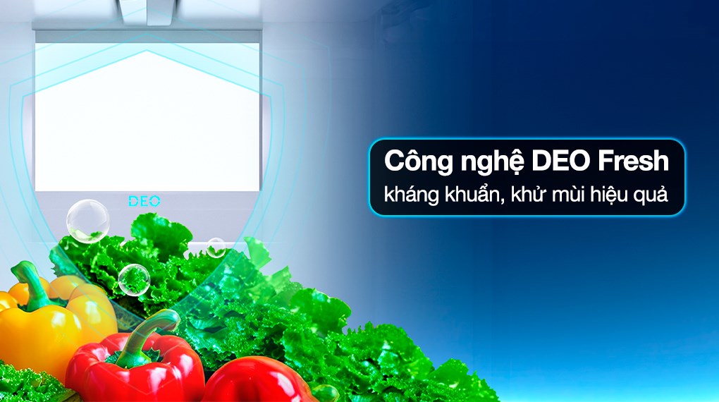 Tủ lạnh Aqua Inverter 236 lít AQR-T260FA(FB) - Ảnh 5